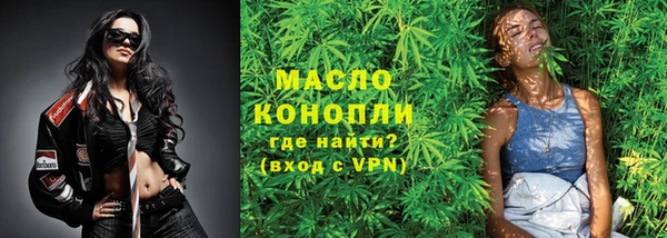 гашик Осинники