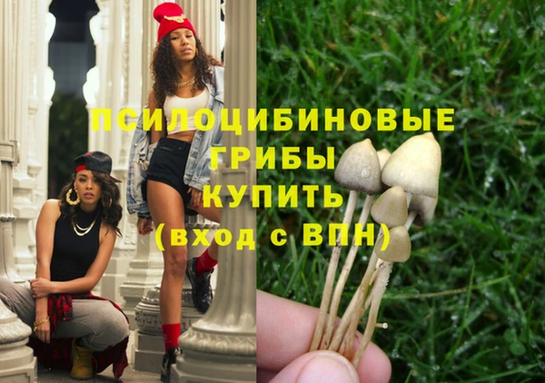 ECSTASY Пестово