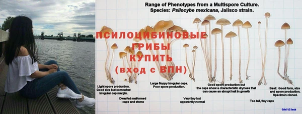 ECSTASY Пестово