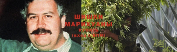 ECSTASY Пестово